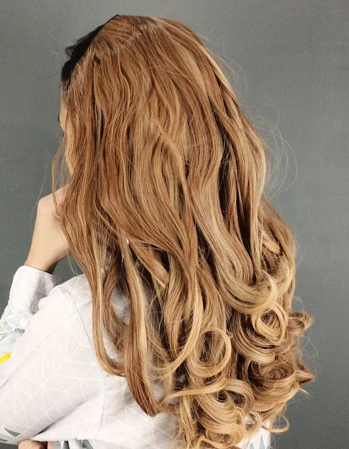 Brown with Light Blonde Highlights | Zebaish Wigs & Extensions