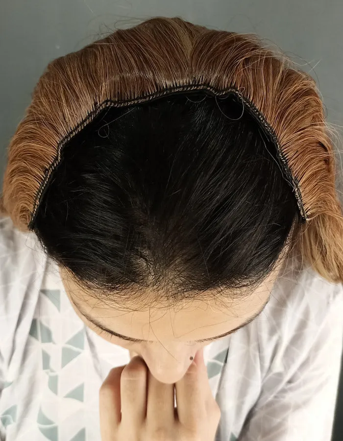 Brown with Light Blonde Highlights | Zebaish Wigs & Extensions