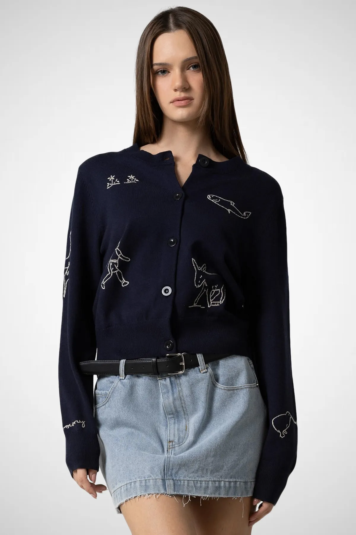 Knitted Embroidered Button Down Cardigan