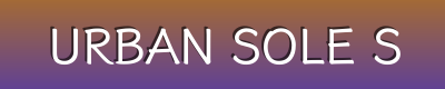 Chic Footwear for Every Step | Urban Sole Society